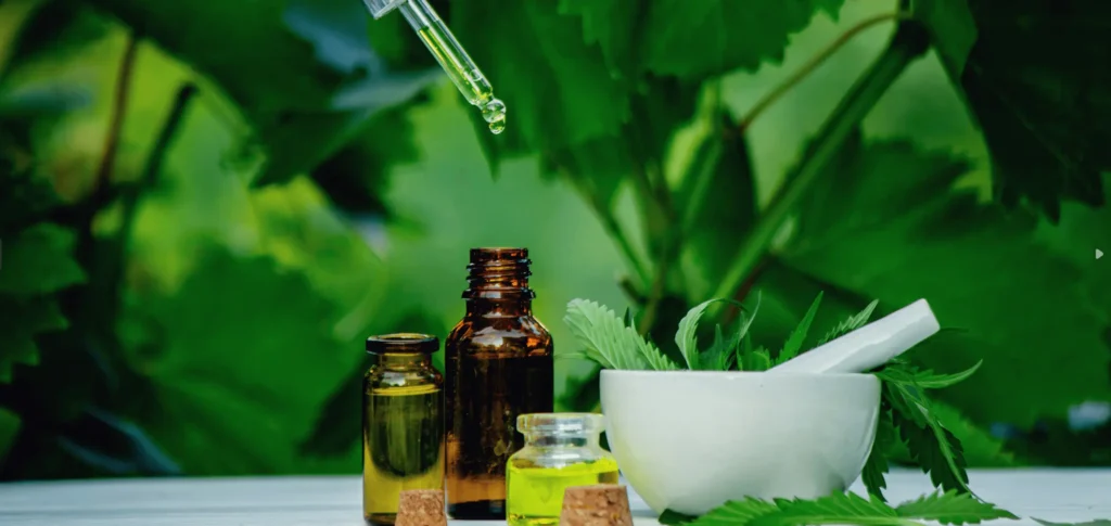 🌿 منتجات DXN: فوائدها وقوتها في تعزيز الصحة والجمال